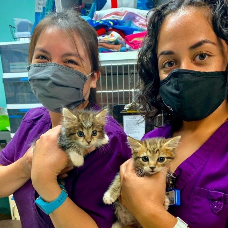 VetCor Community Connections Team Building